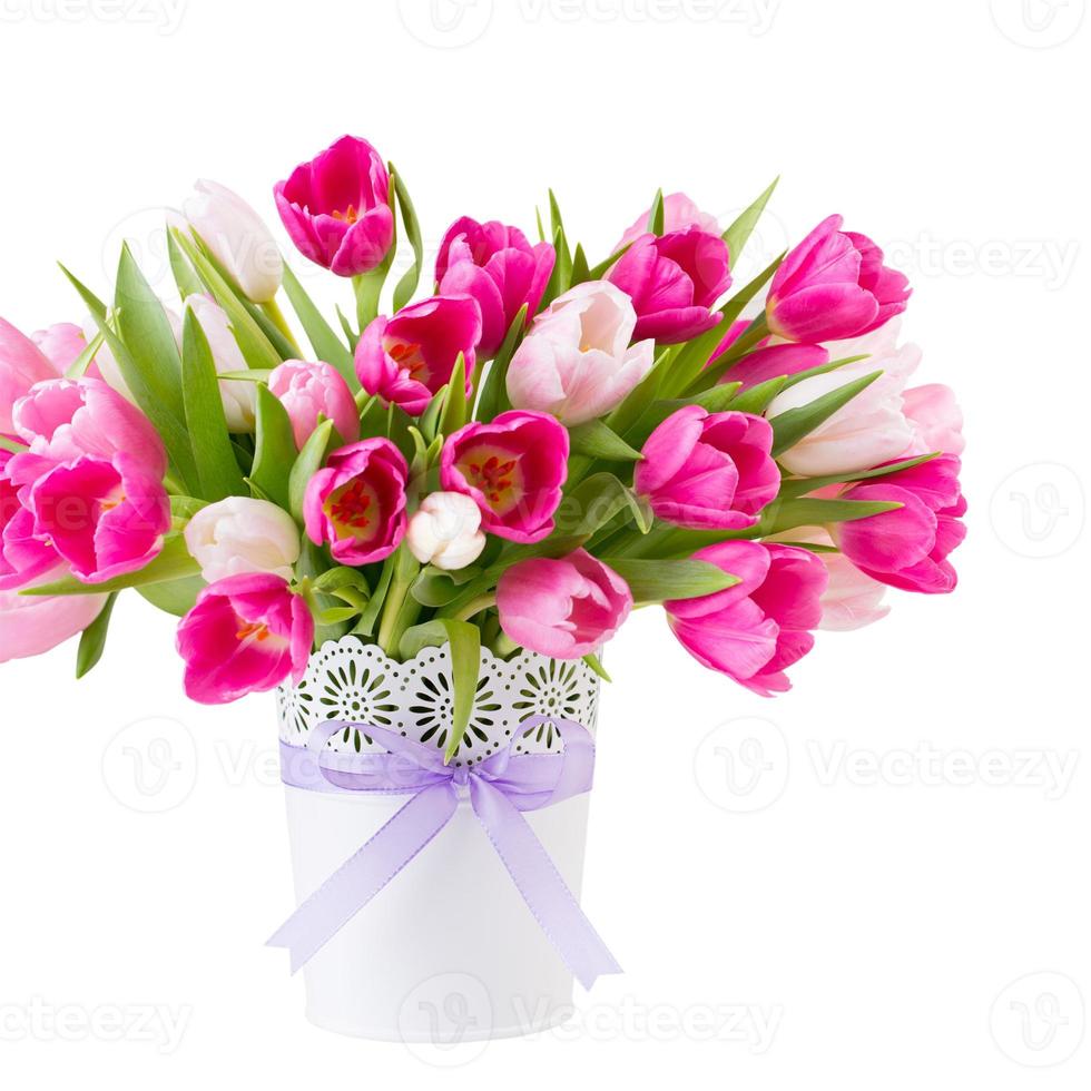 Pink tulip on the white background. Easter background photo