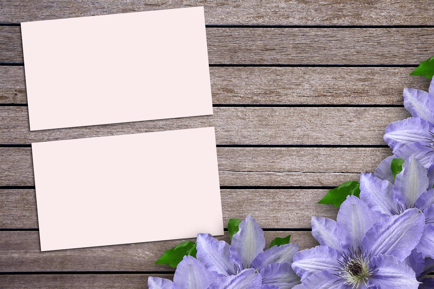 Card Mockup, Blank Card Picture, Empty White Card Picture photo