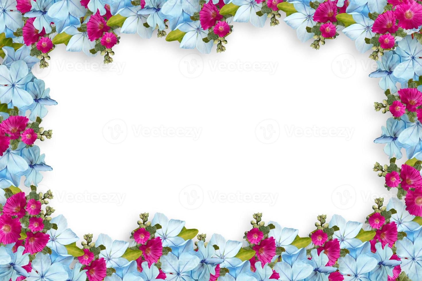 Flower border Frame Background, Flower Background, Floral Frame Background. photo