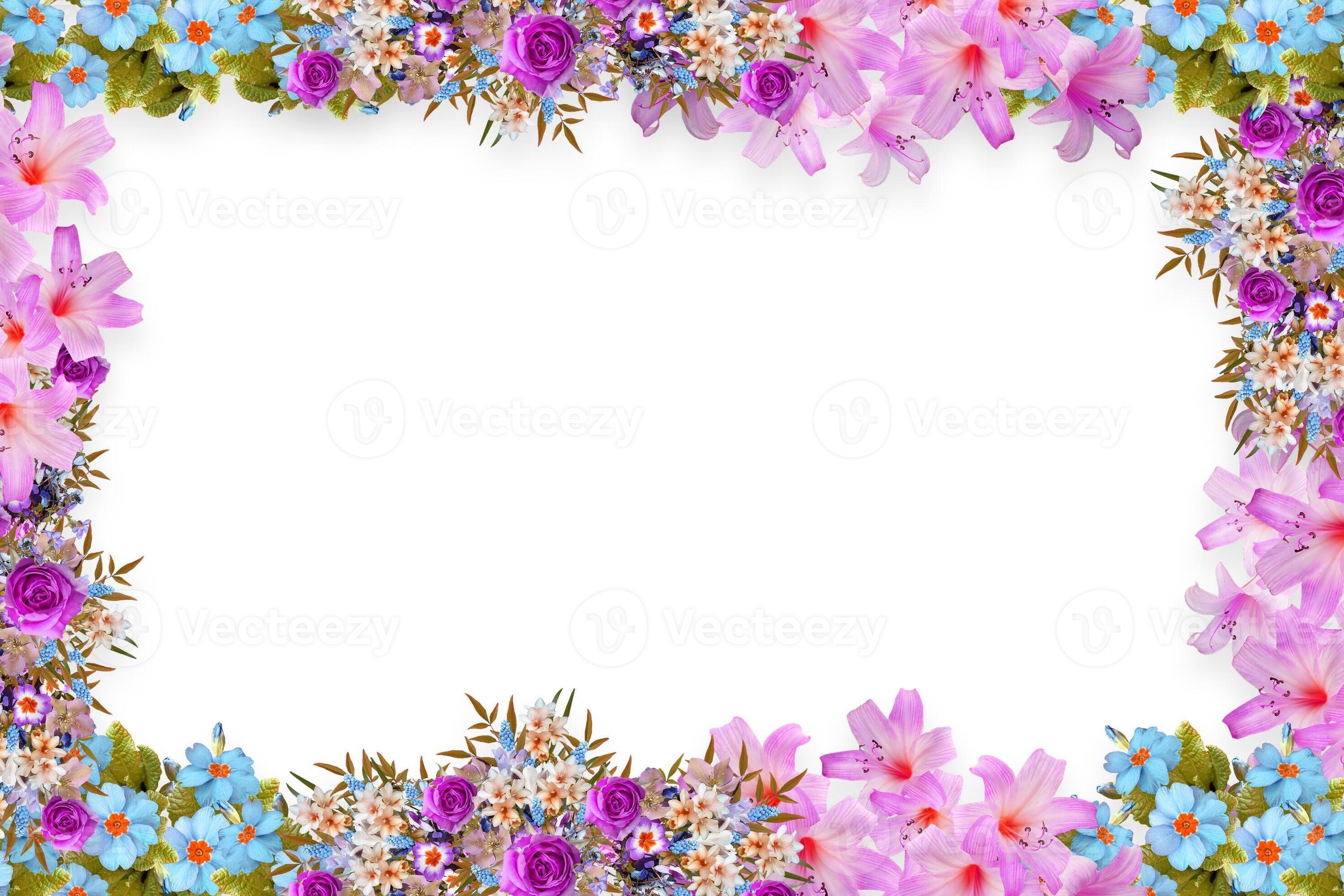 Flower border Frame Background, Flower Background, Floral Frame