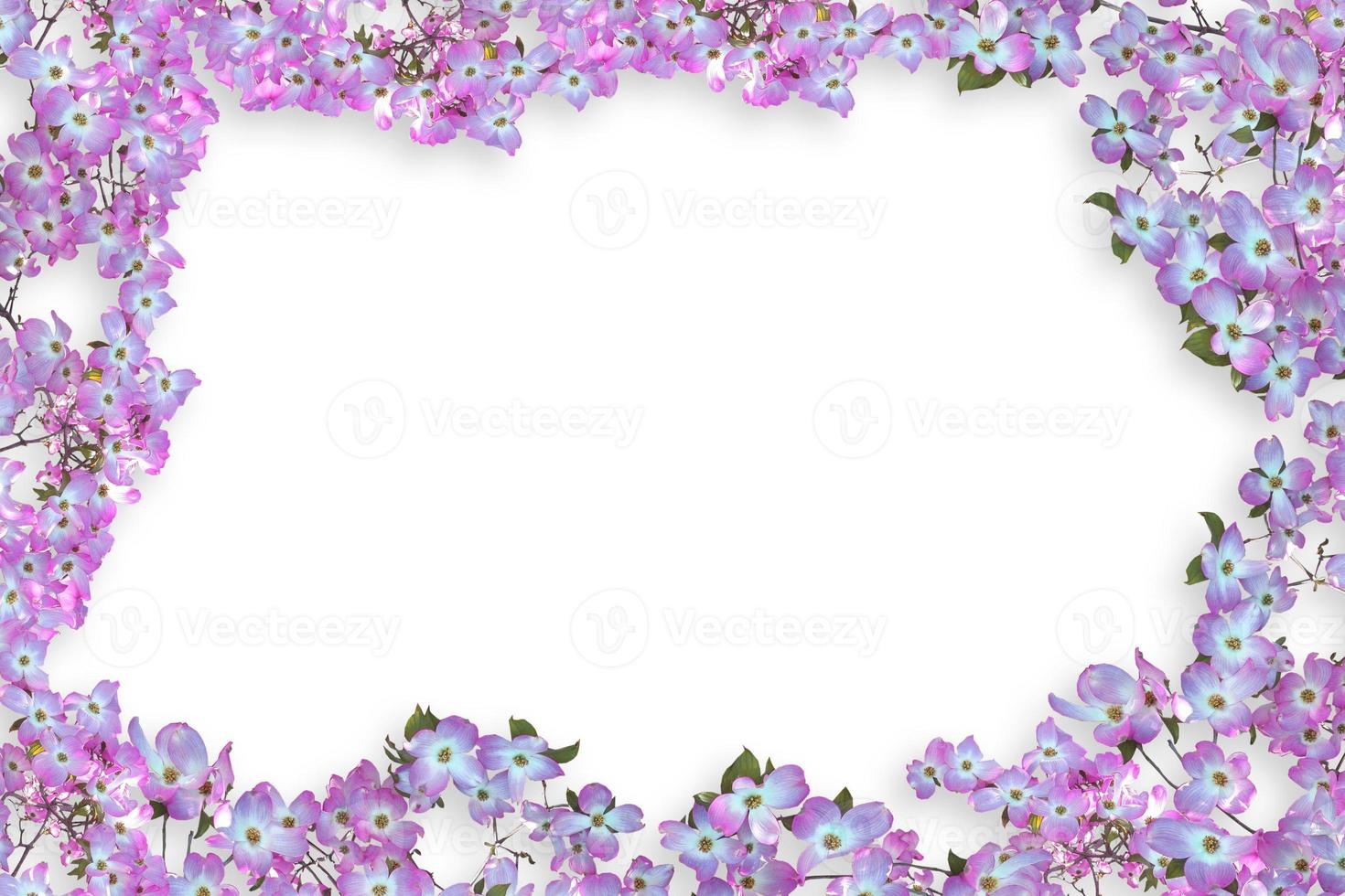 Flower border Frame Background, Flower Background, Floral Frame Background. photo