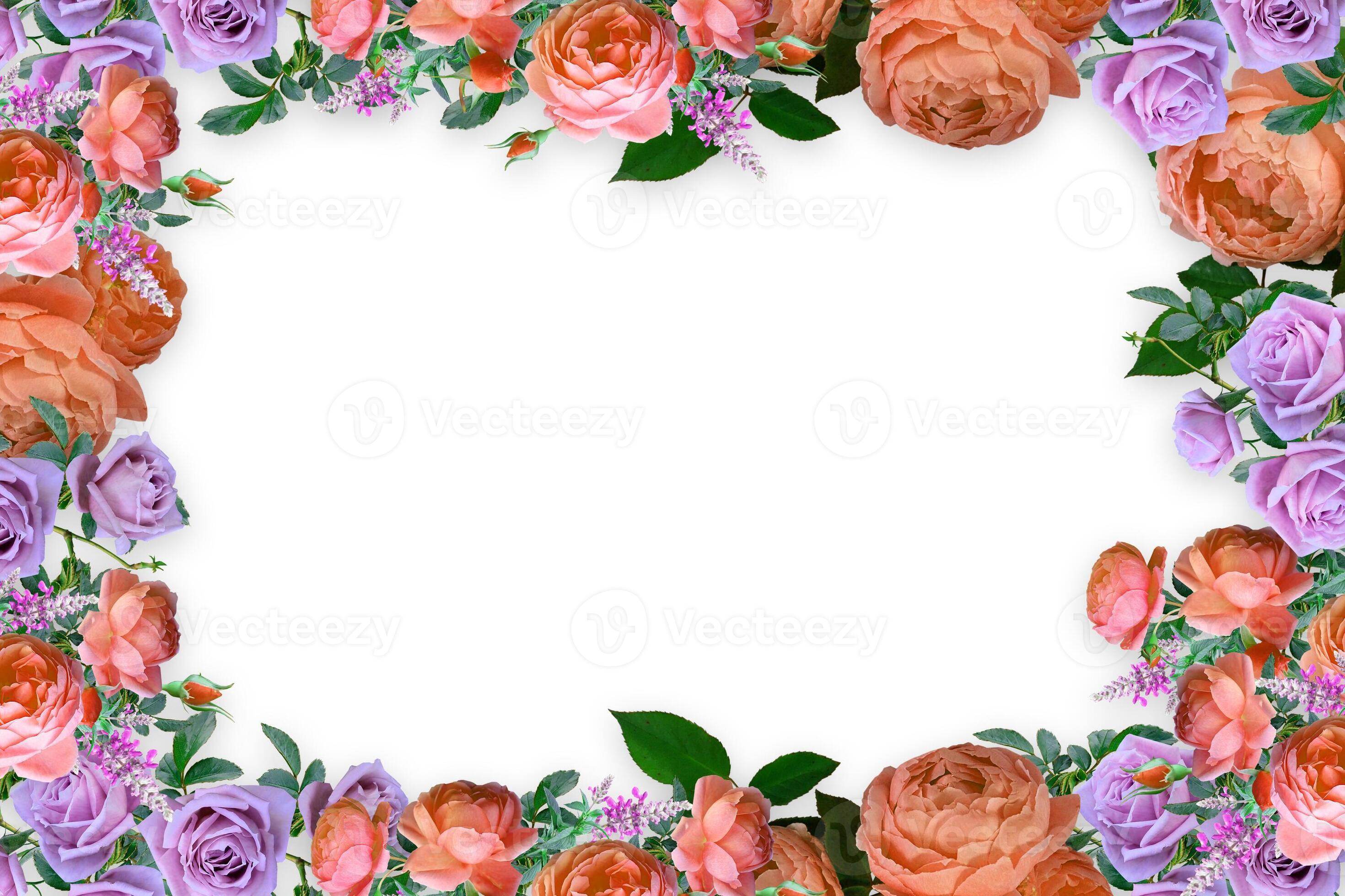 Flower border Frame Background, Flower Background, Floral Frame