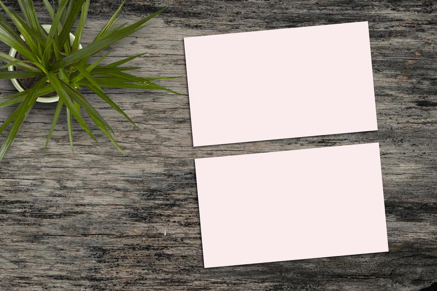 Card Mockup, Blank Card Picture, Empty White Card Picture photo