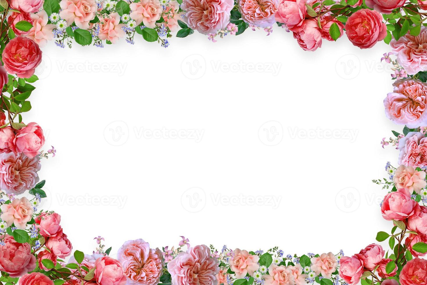 Flower border Frame Background, Flower Background, Floral Frame Background. photo