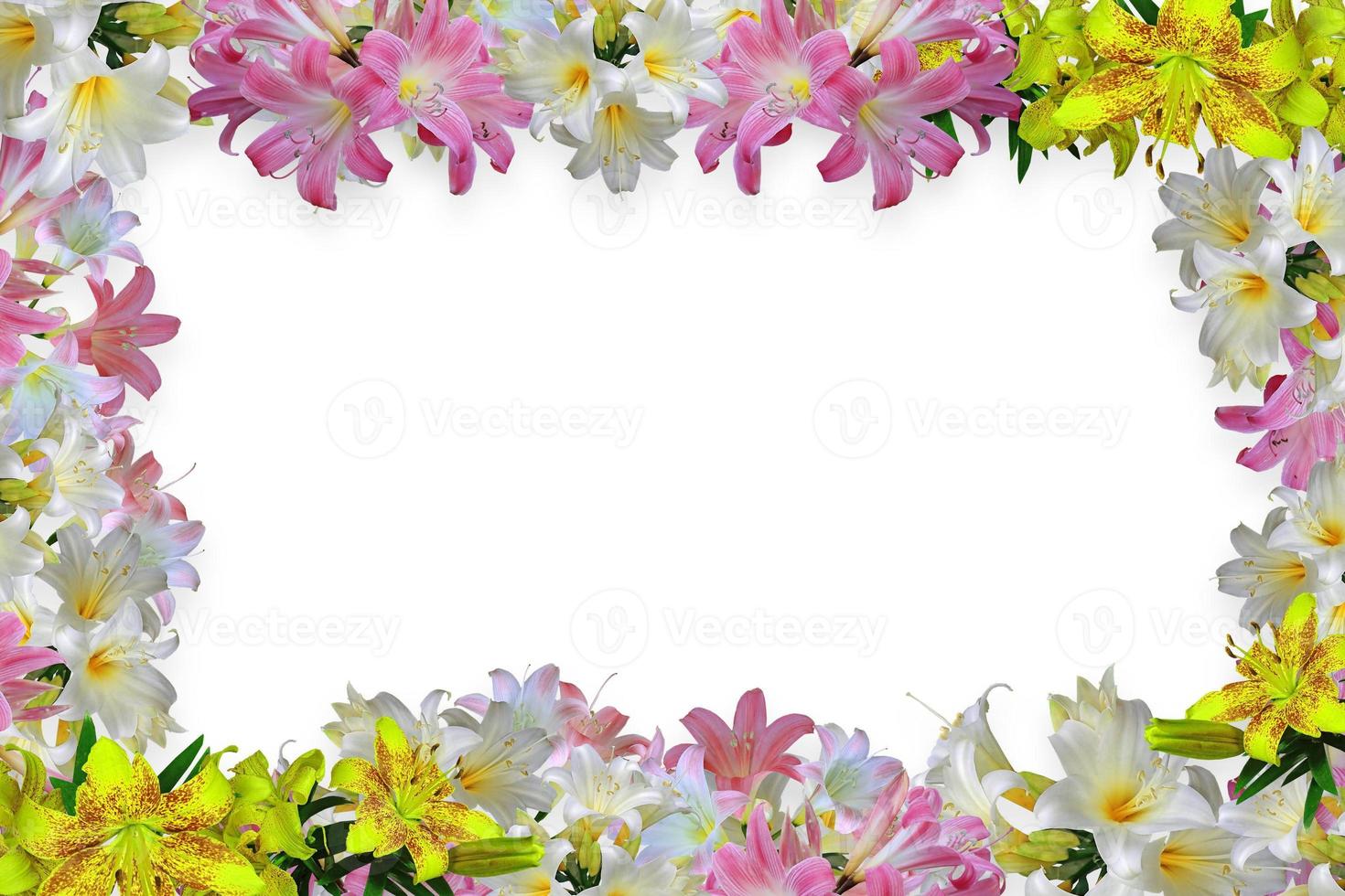 Flower border Frame Background, Flower Background, Floral Frame Background. photo