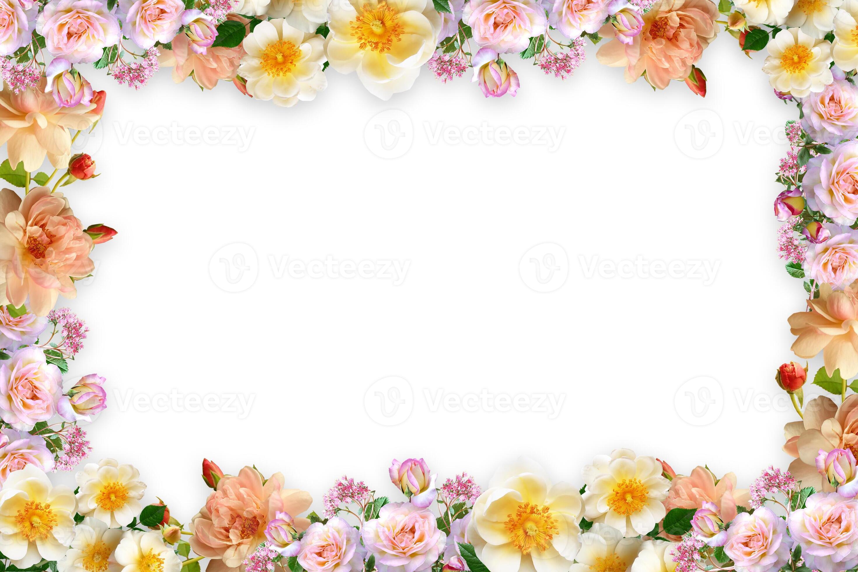 Flower border Frame Background, Flower Background, Floral Frame