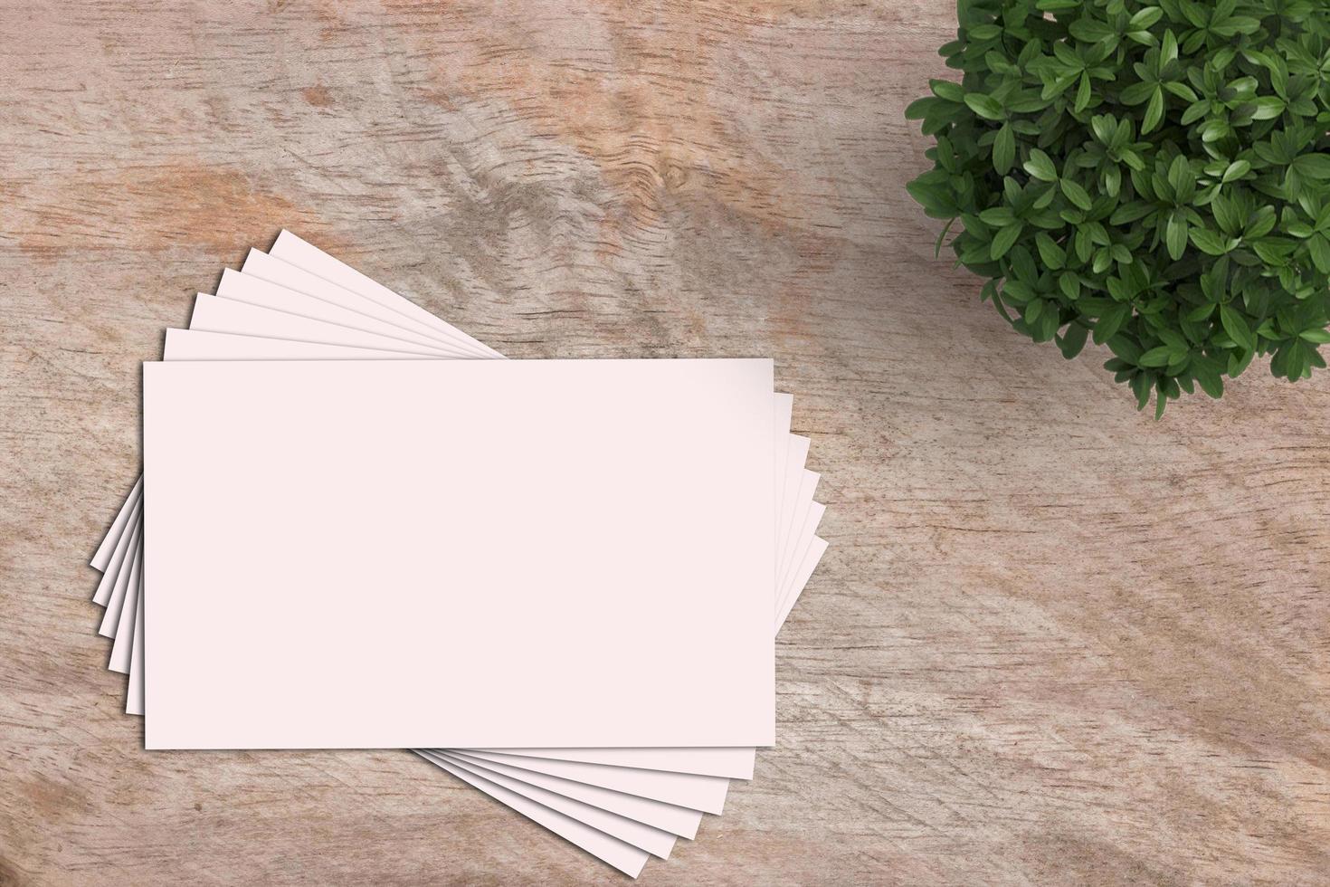 Card Mockup, Blank Card Picture, Empty White Card Picture photo