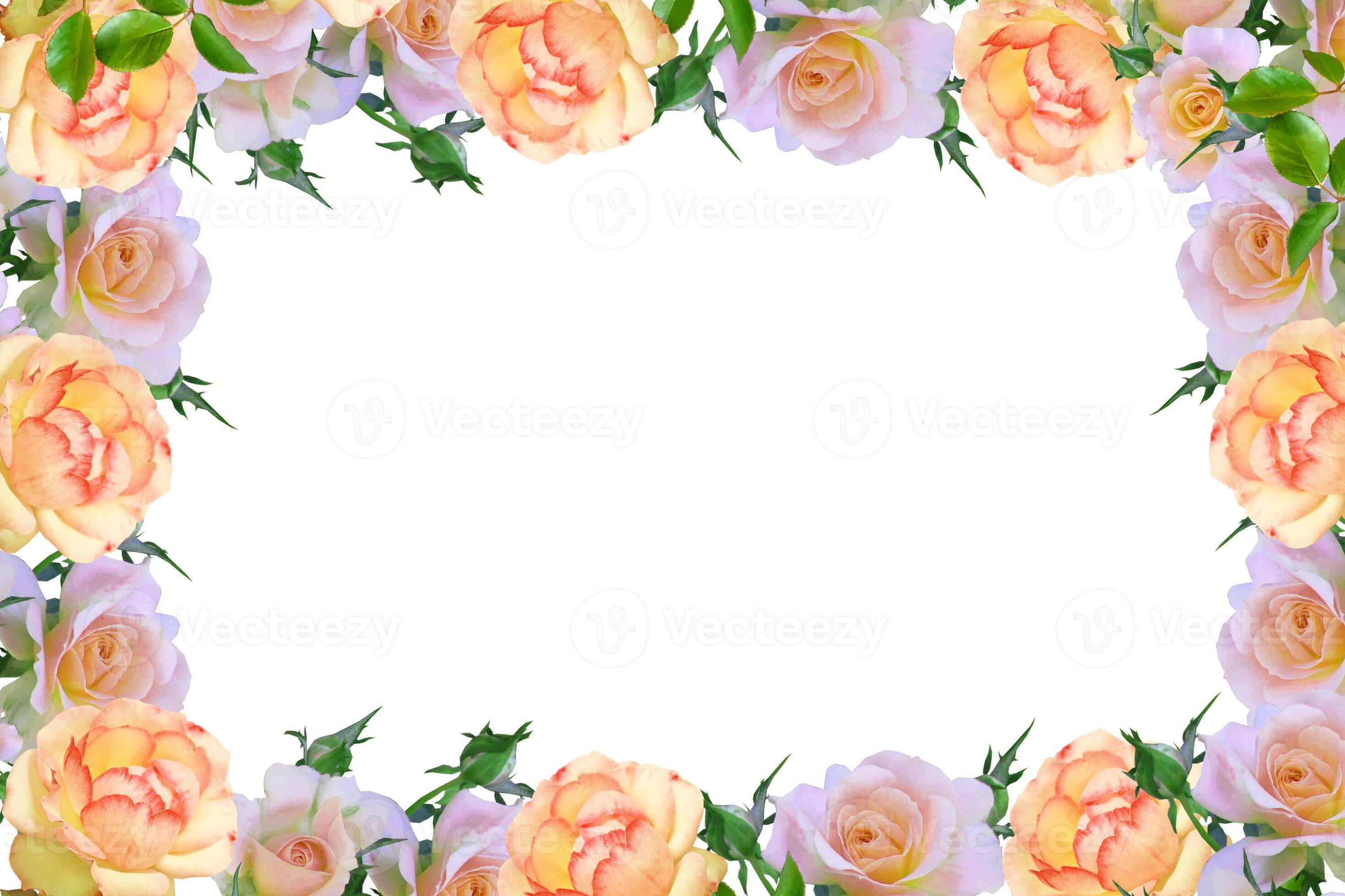 Flower border Frame Background, Flower Background, Floral Frame