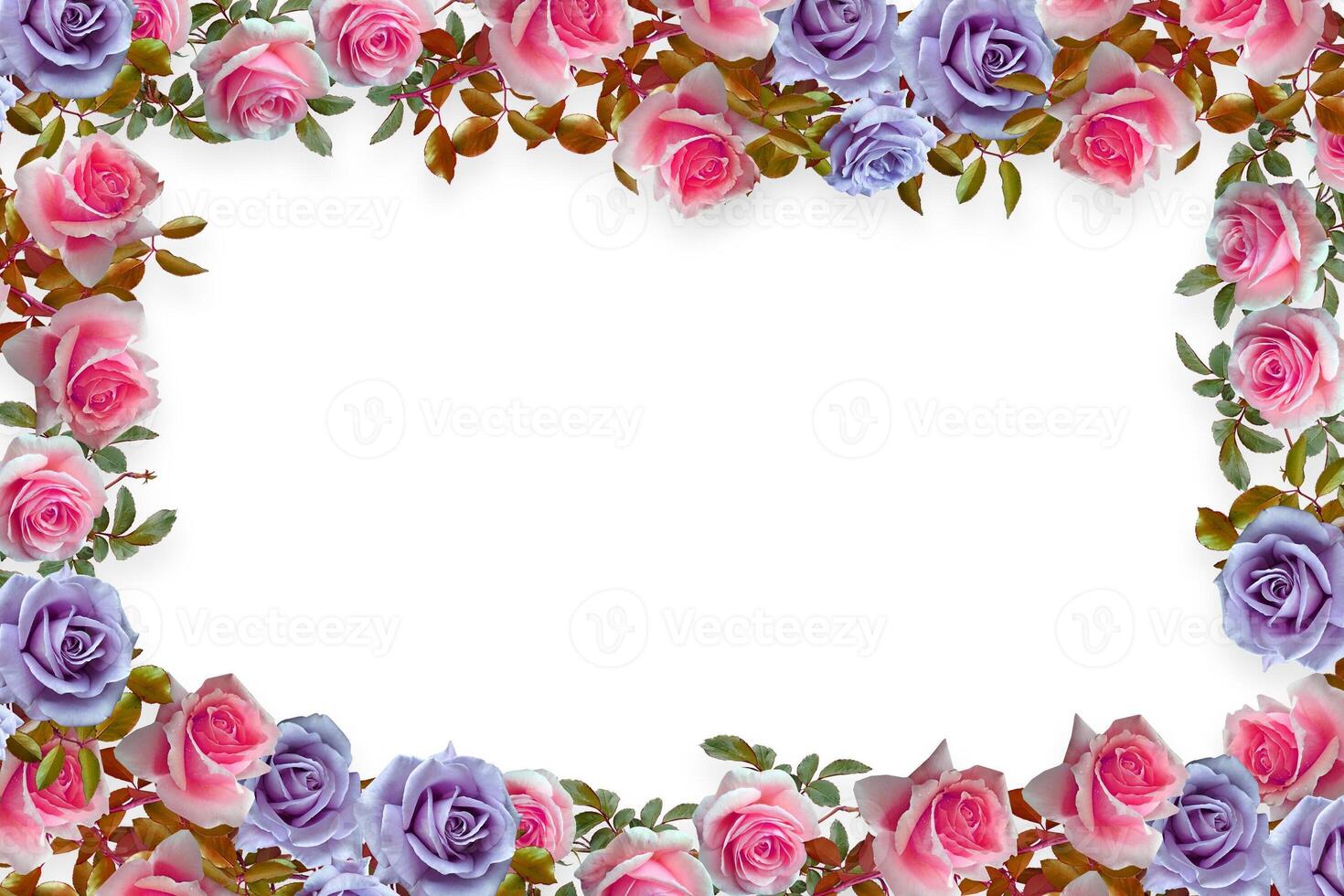 Flower border Frame Background, Flower Background, Floral Frame