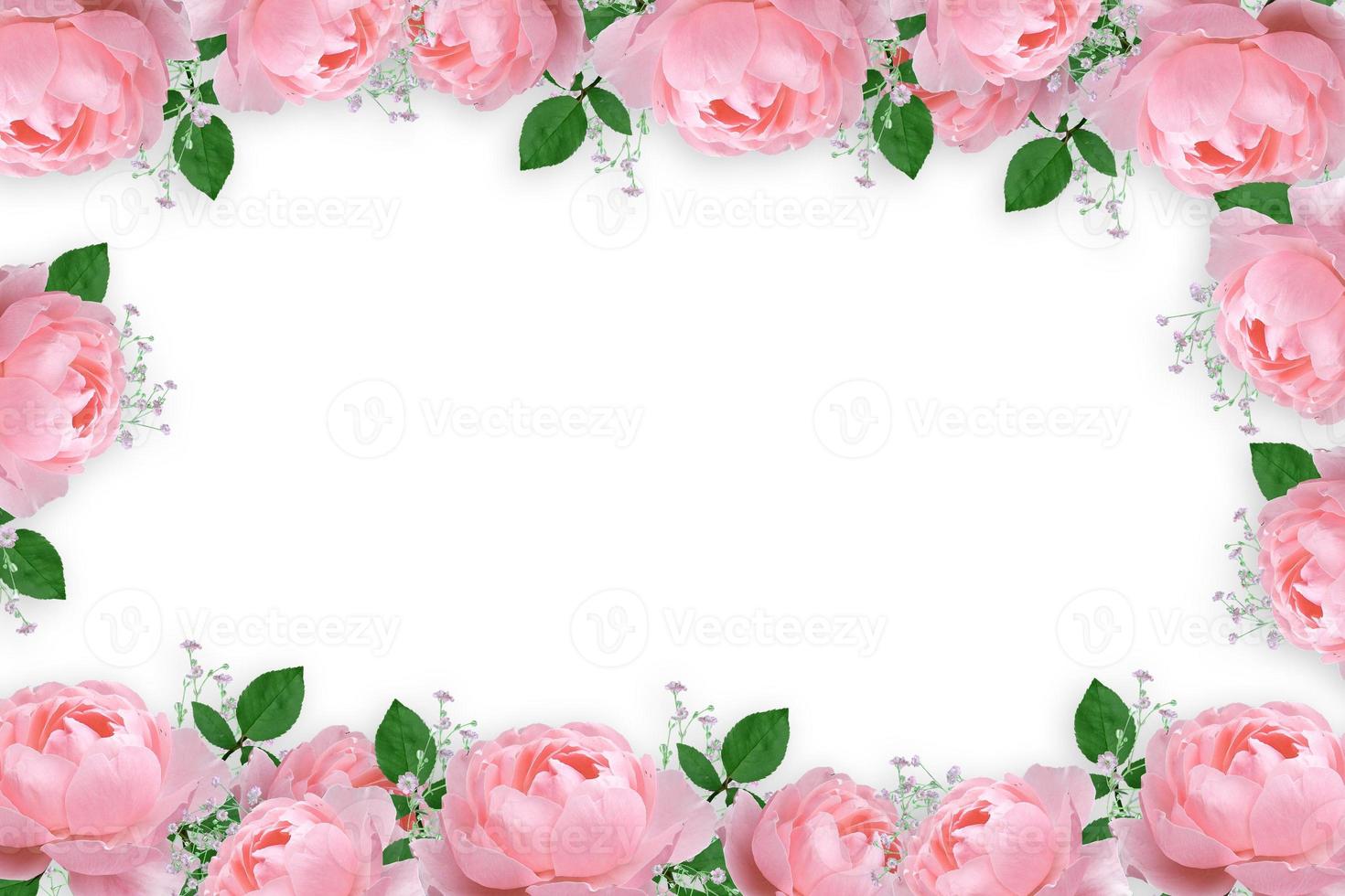 Flower border Frame Background, Flower Background, Floral Frame Background. photo