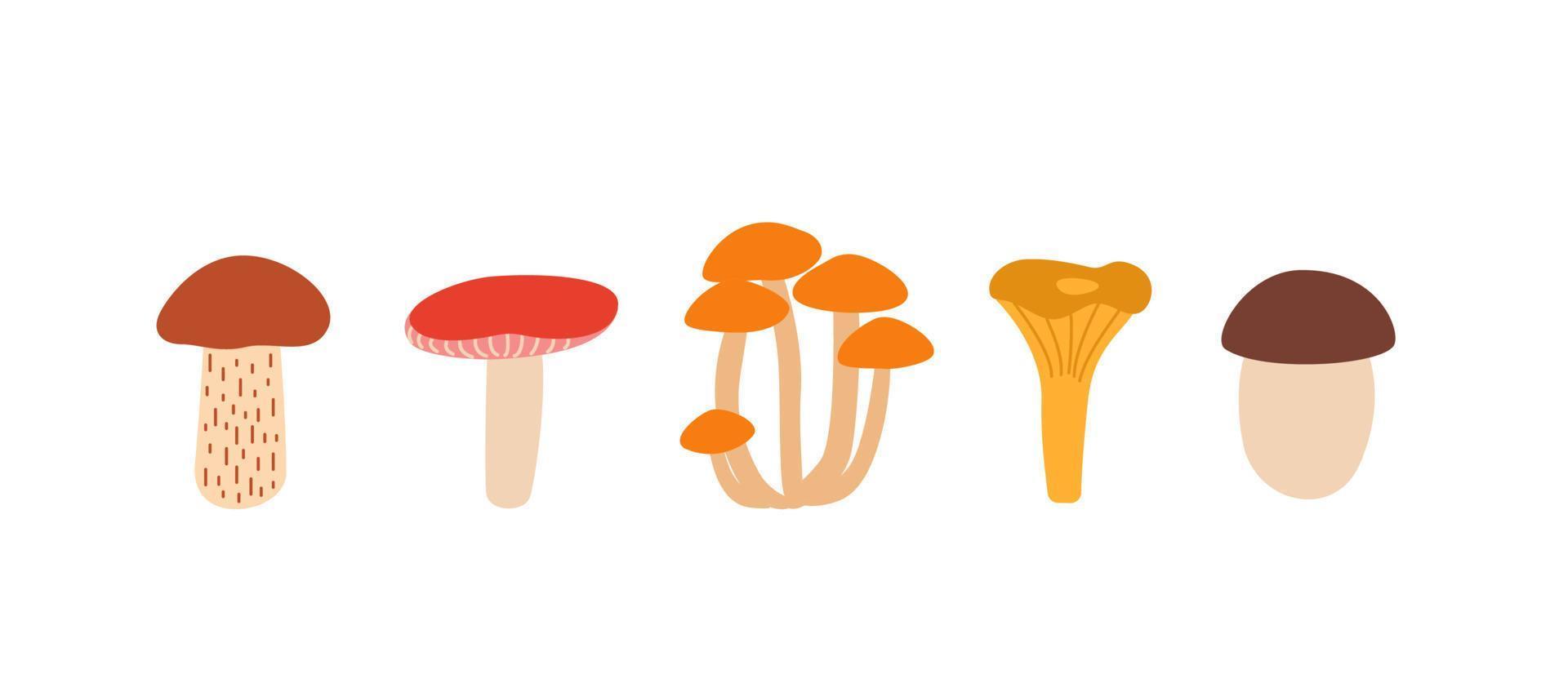 Set of mushroom icons vector. Illustration of boletus, chanterelles, honey mushrooms, aspen mushroom and russula vector