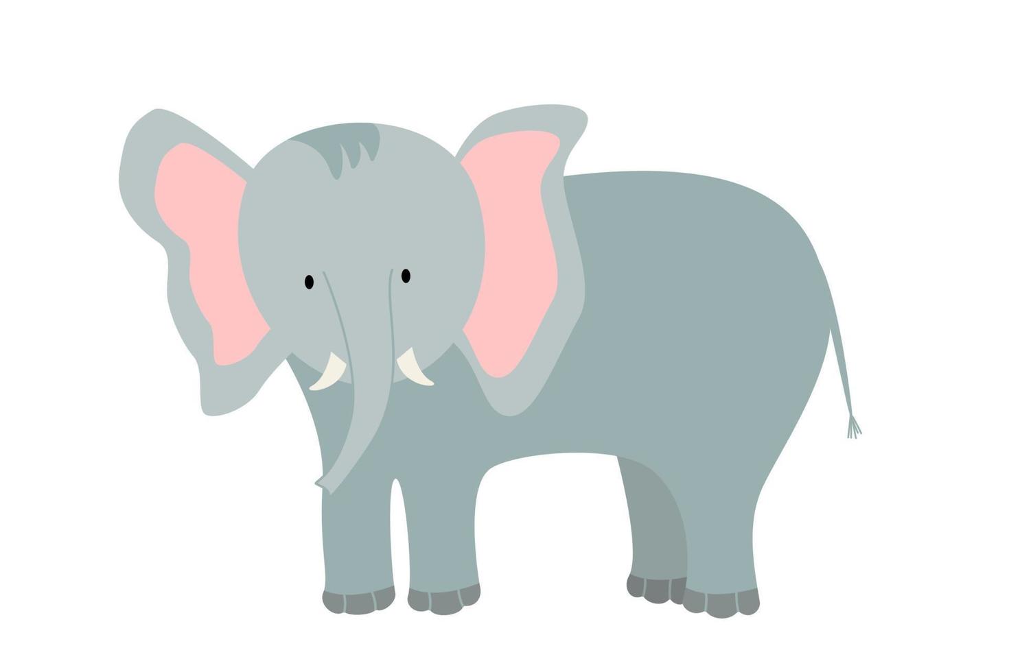 Cute cartoon elephant. Vector illustration of an African animal isolated on white