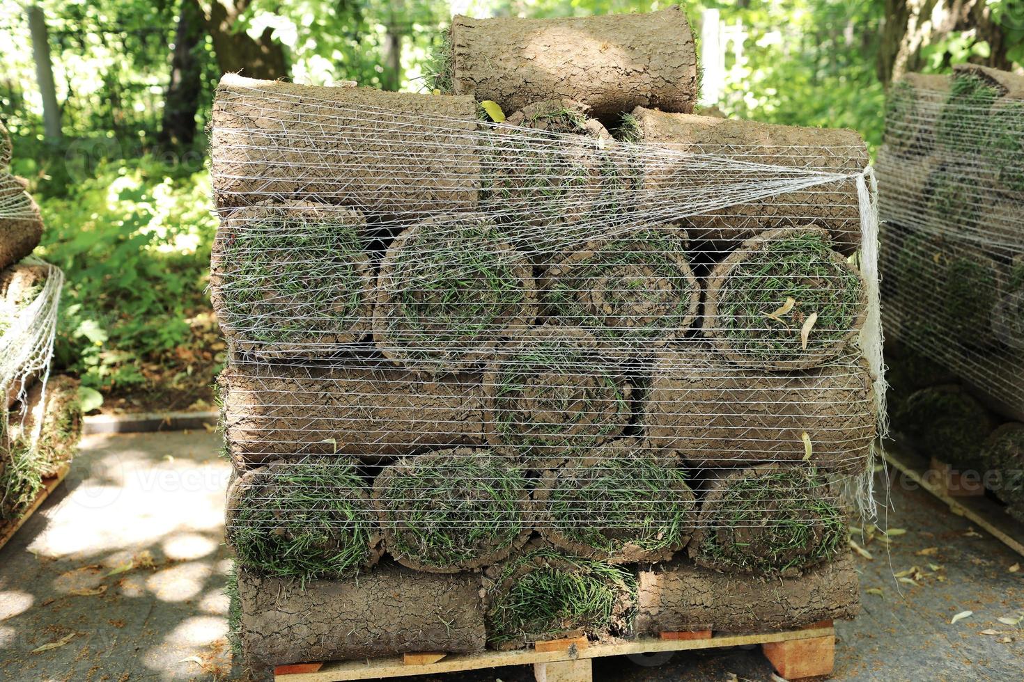 Closeup of carpet grass rugs outdoors with green and brown pattern. Lawn of green grass and soil is rolled into rolls on pallets on street, the turf in a stack is ready for greening. photo