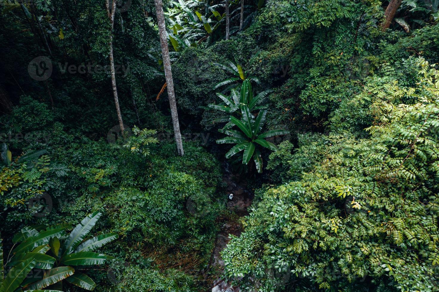 Waterfall in tropical forest,waterfall in jungle photo