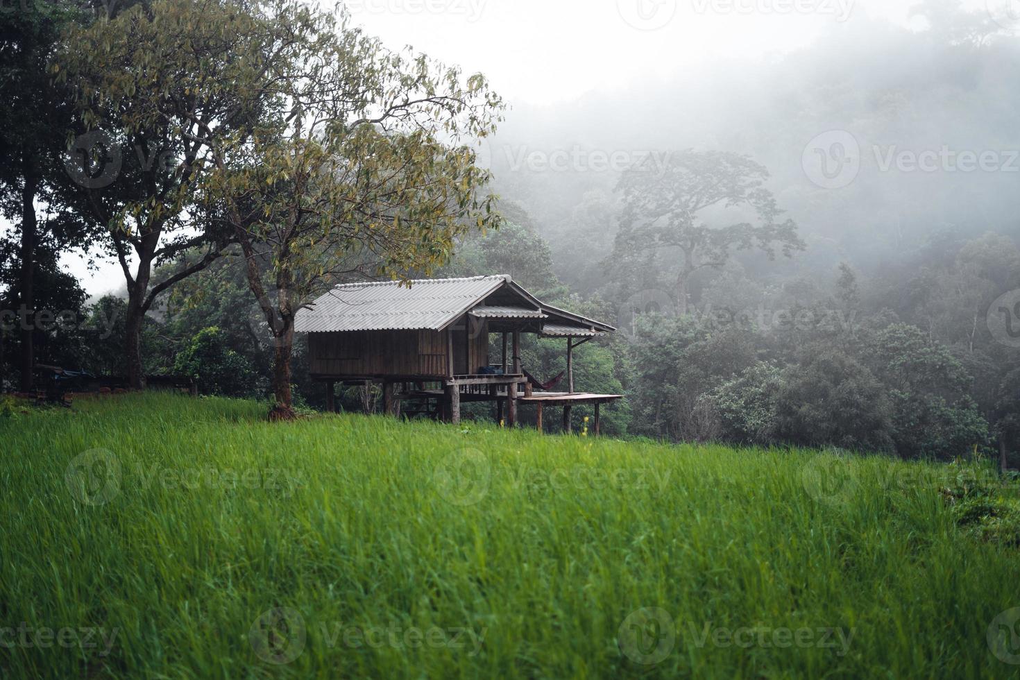 campo de arroz verde en terrazas y cabañas de granja foto