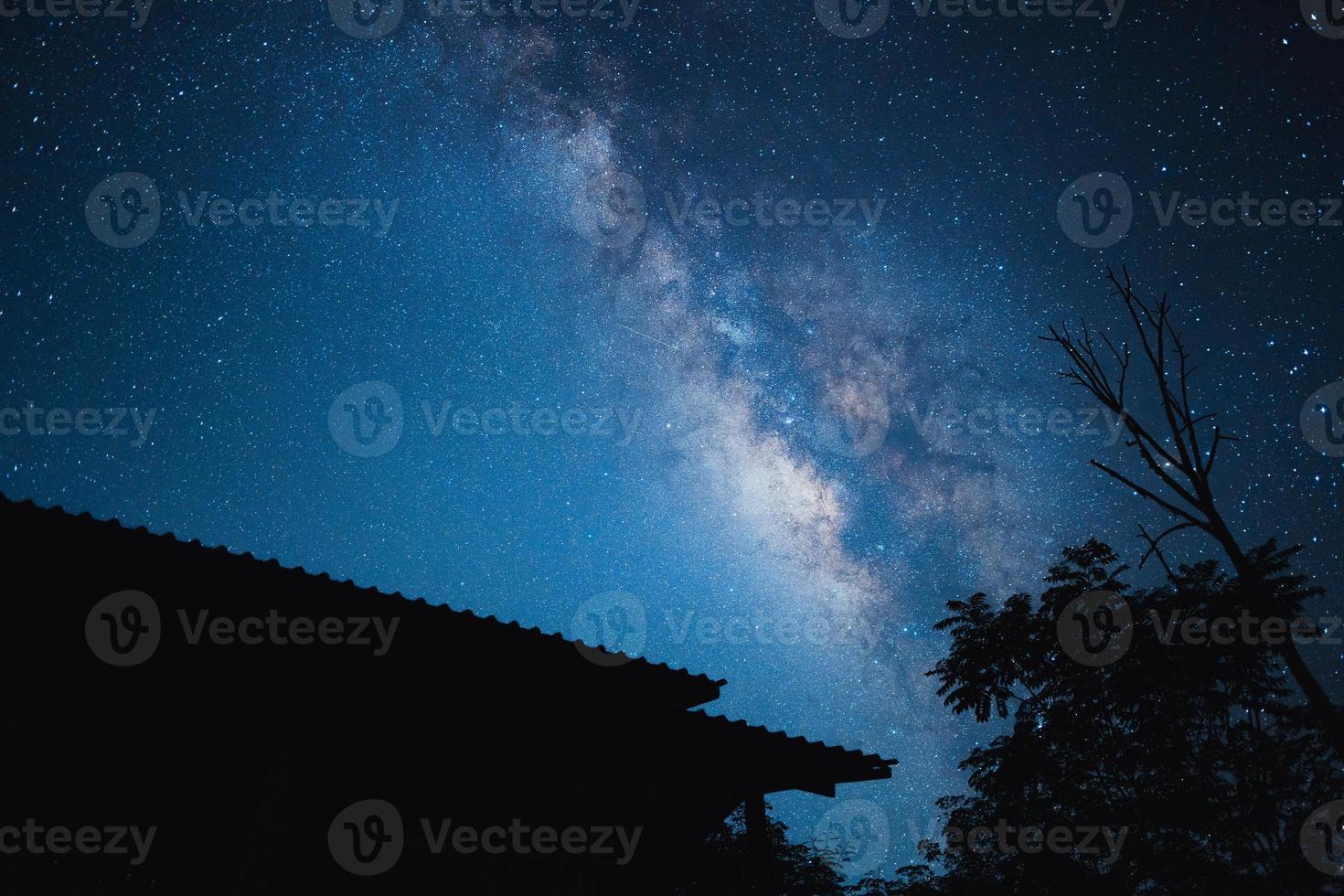 fondo de la vía láctea de la escena nocturna, árboles contra el cielo por la noche foto