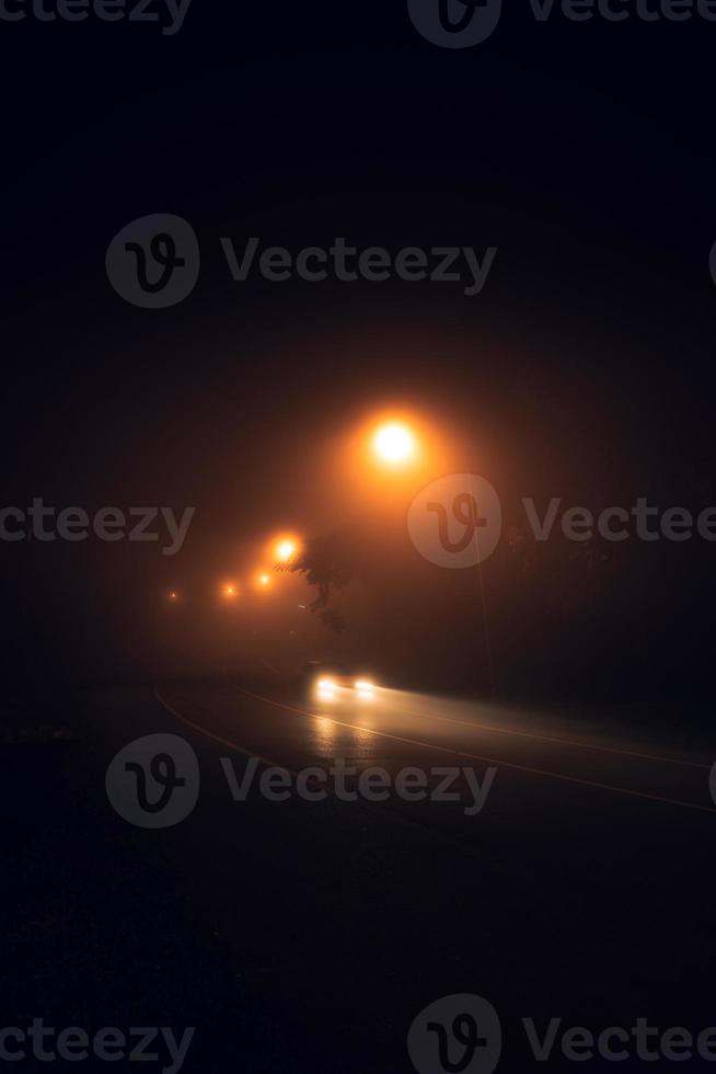 fog at night road and orange trees photo