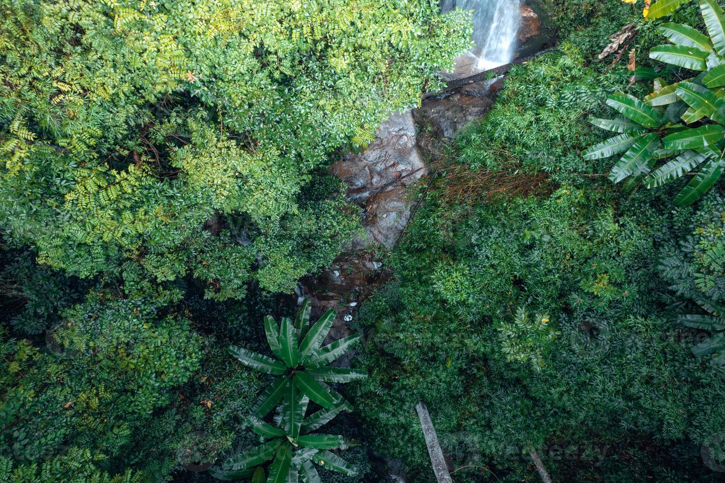 Waterfall in tropical forest,waterfall in jungle photo