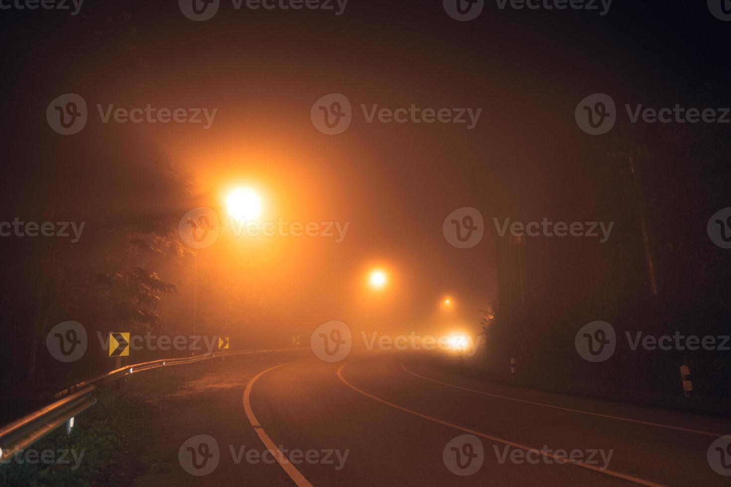 fog at night road and orange trees photo