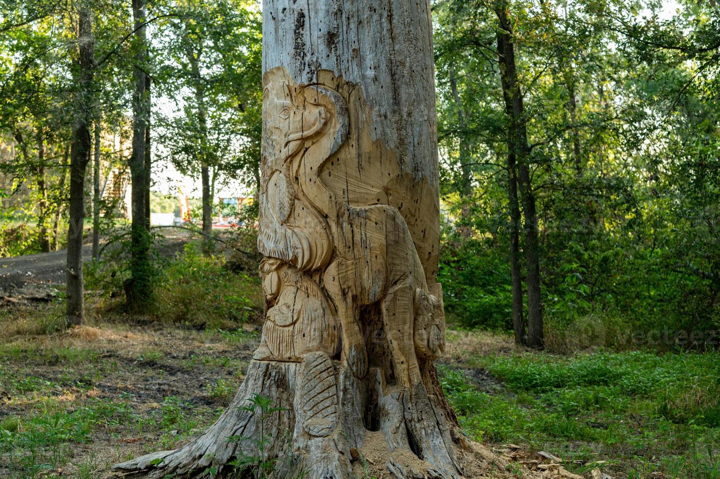 Tree Carving Chisolm Trail Outdoor Museum photo