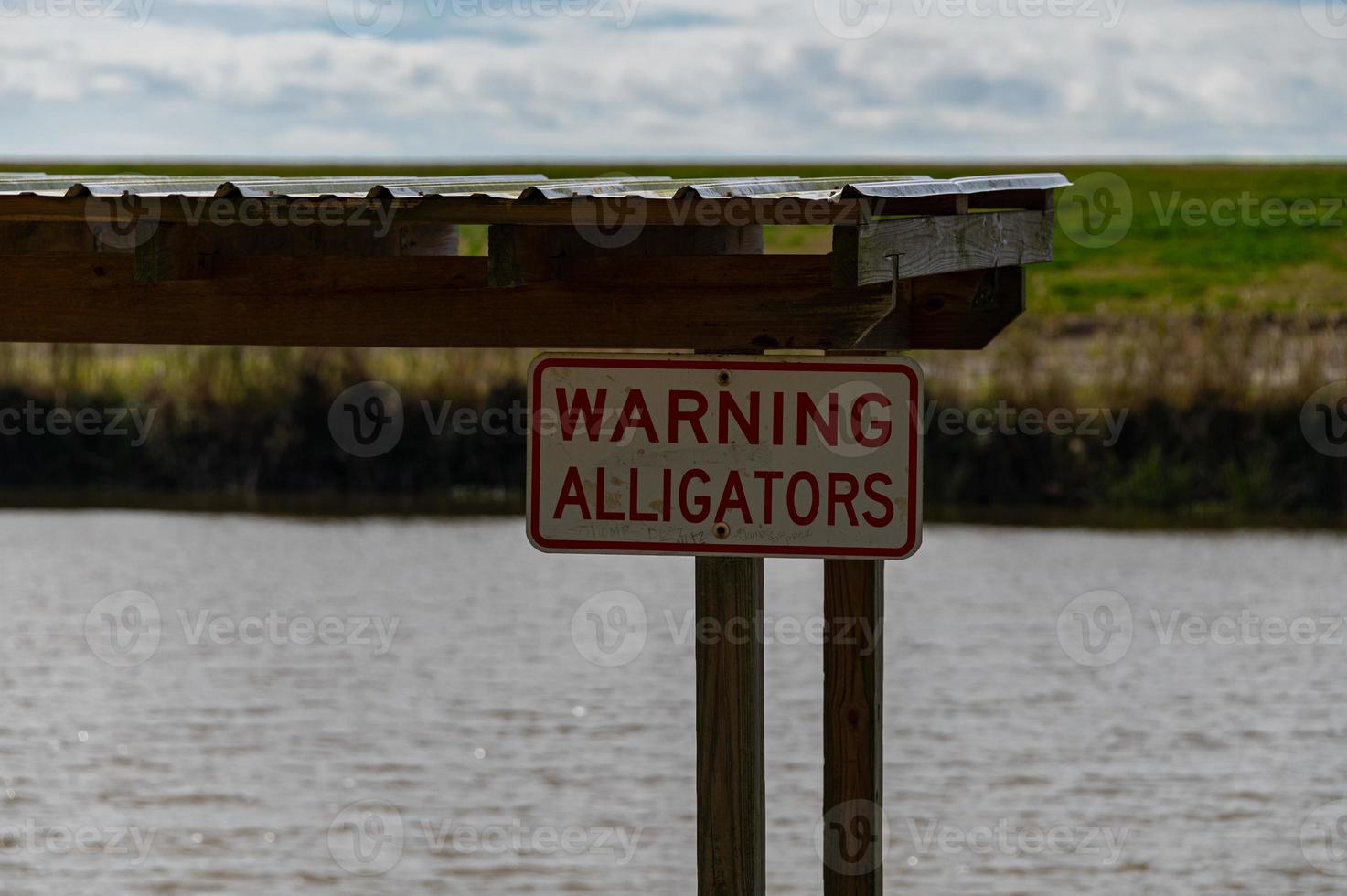 advertencia de caimanes en el pantano foto