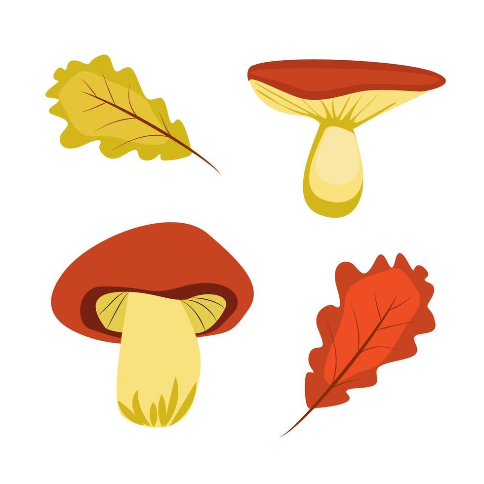 mushroom vector illustration cartoon drawing for postcards, design