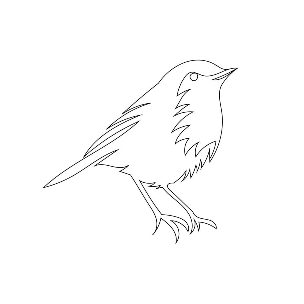 Tailor bird line art drawing style, The bird sketch black linear isolated on white background