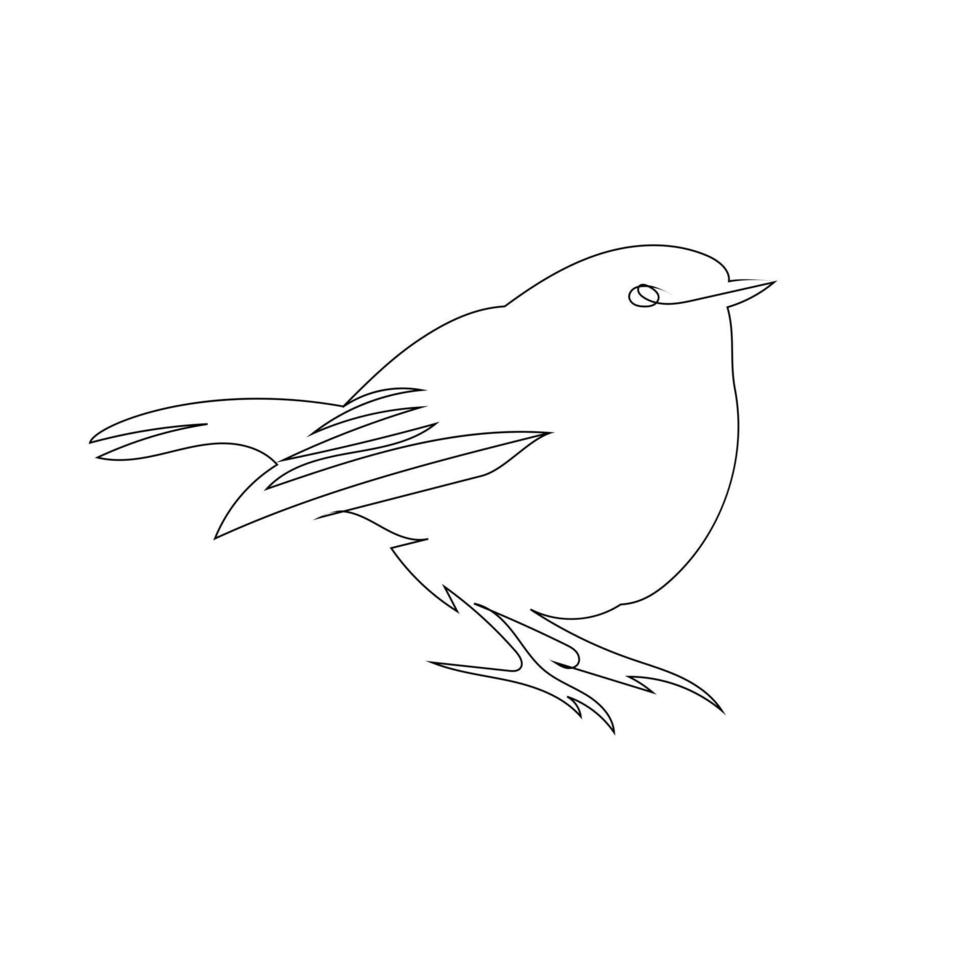 Tailor bird  line art drawing style, The bird sketch black linear isolated on white background, And the  best bird vector illustration.