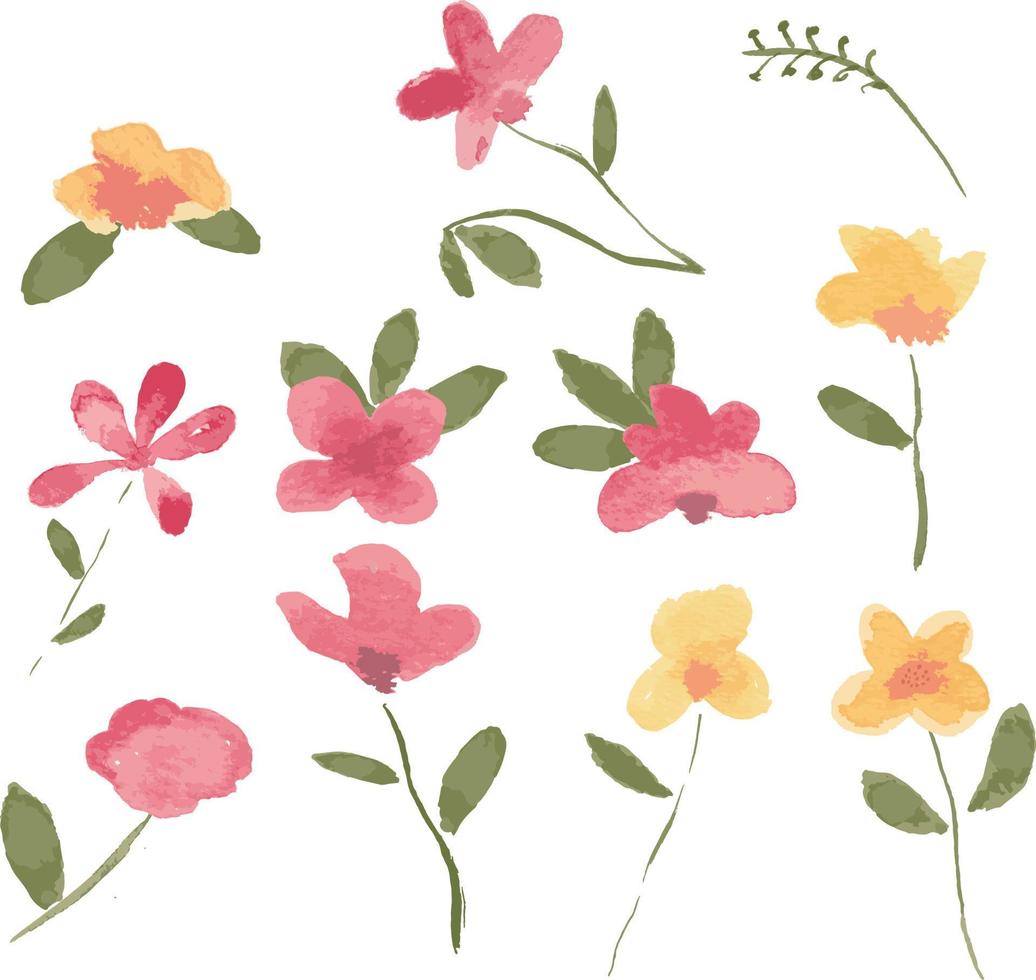 hermosa acuarela botánica flores silvestres. ilustración vectorial floral. vector