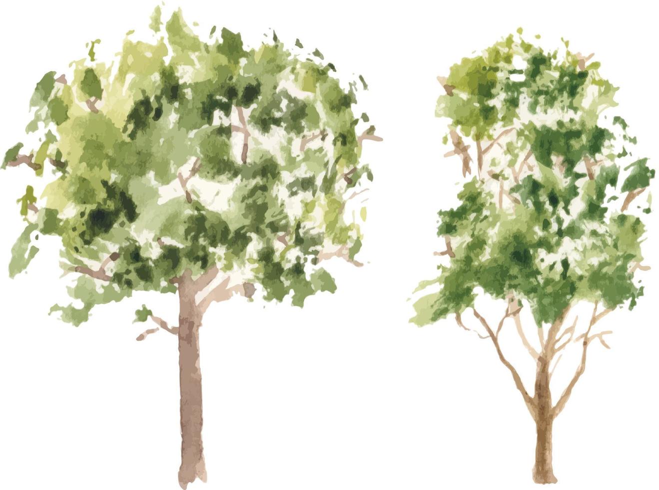 Vector hand drawn tree watercolor illustration on white background.