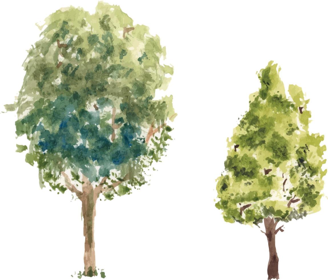 Vector hand drawn tree watercolor illustration on white background.