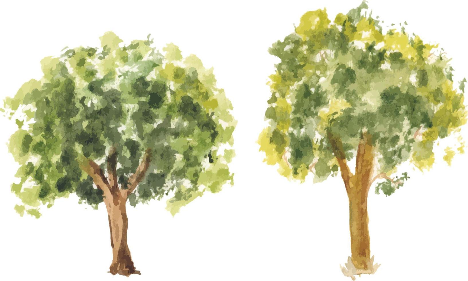 Vector hand drawn tree watercolor illustration on white background.