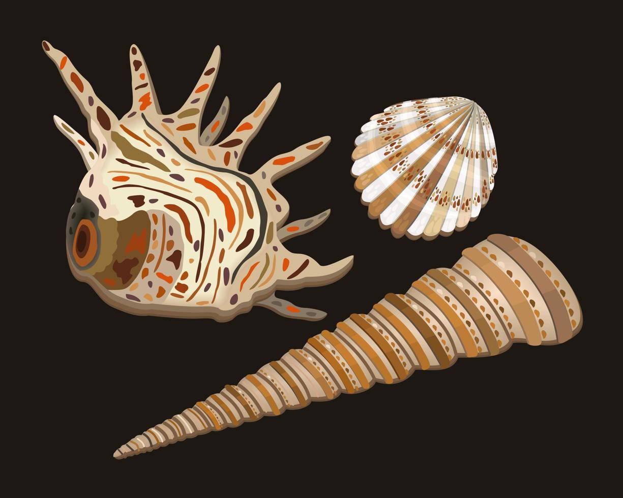 Vector set of various seashells of usual shape with decorative spots.