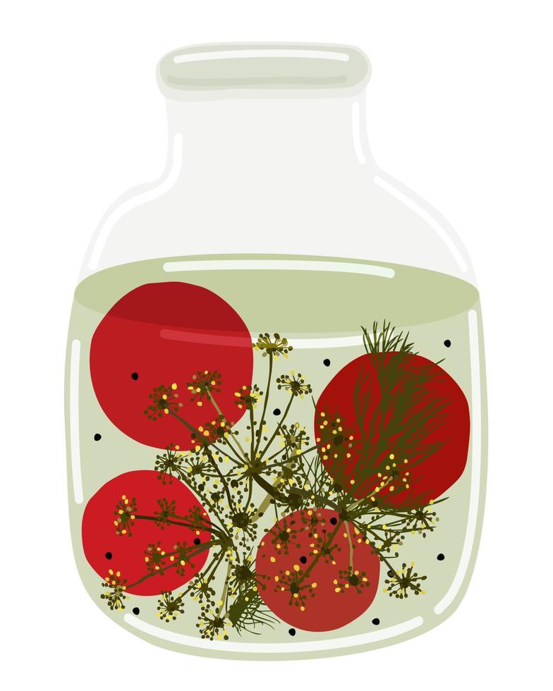 Jar of pickled tomatoes with dill and peppercorns vector