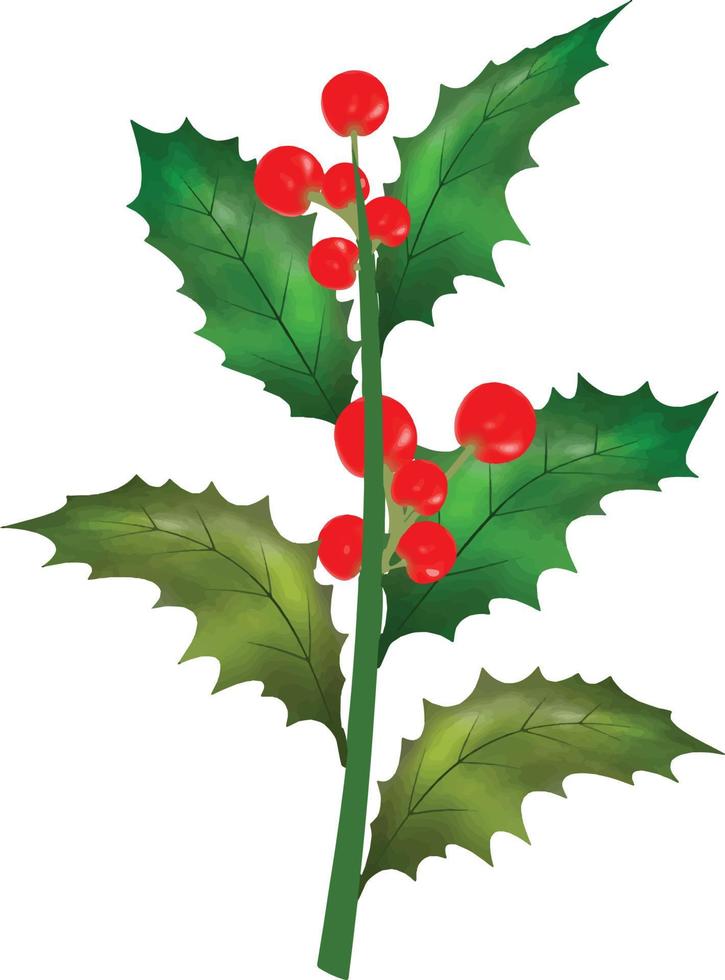 Christmas symbol vector illustration. Christmas holly leaves and branches with winter red berries Watercolor Vector Illustration for decorative element. Vector Set of Christmas evergreen holly leaves.