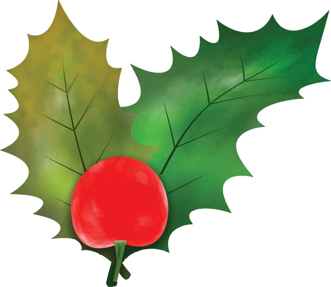 Ilustración de vector de símbolo de Navidad. hojas de acebo de navidad y ramas con ilustración de vector de acuarela de bayas rojas de invierno para elemento decorativo. conjunto de vectores de hojas de acebo de hoja perenne de navidad.