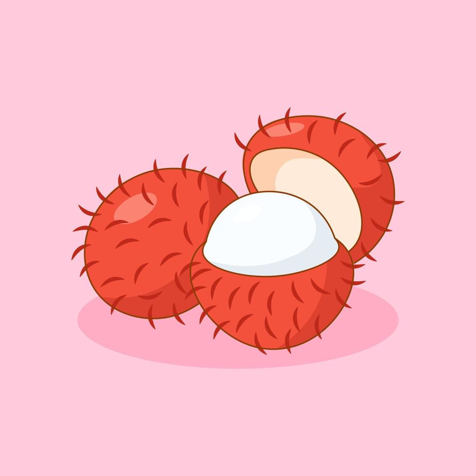 Fresh Rambutan Fruit Doodle Illustration vector