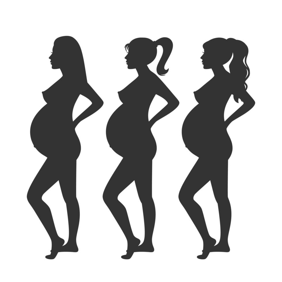 silueta, de, mujeres embarazadas, vector, ilustración vector
