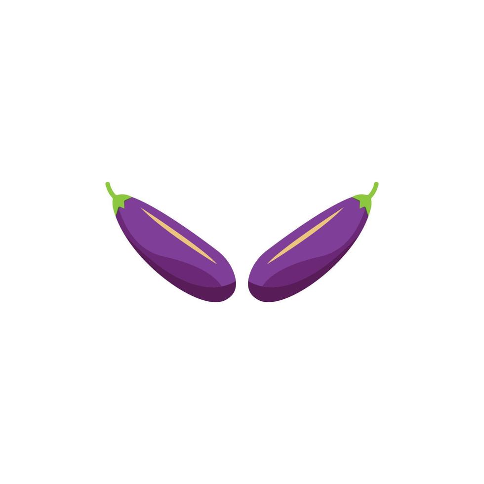 eggplant icon vector