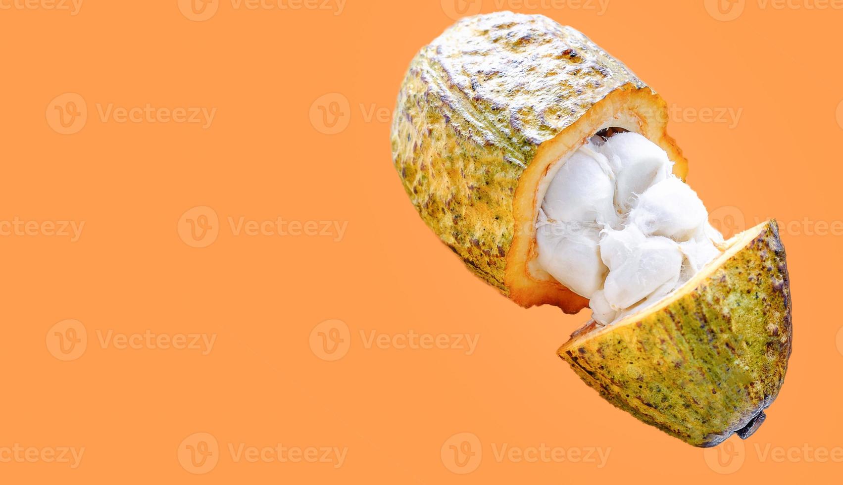 Fresh cacao or cocoa pods and cocoa fruit cut in half that reveal the flesh in white on orange background photo