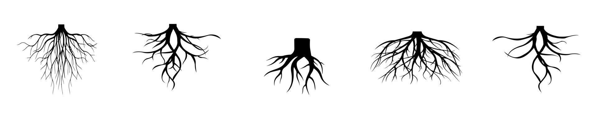 Set of tree roots. Vector silhouette