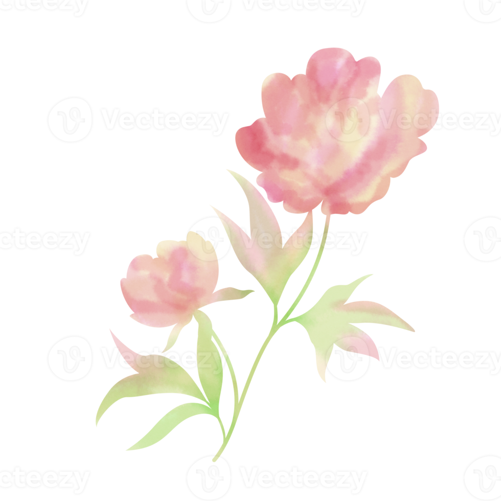 flower paintbrush style png