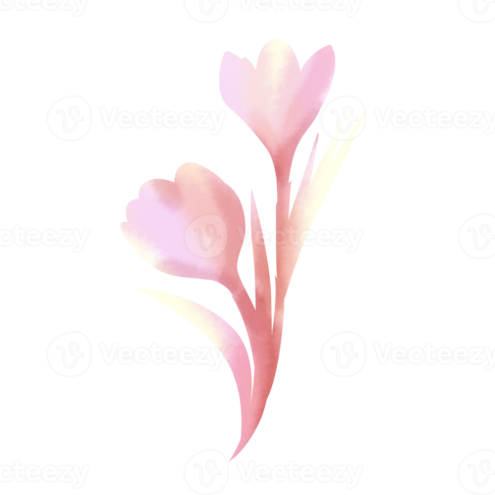 flower paintbrush style png
