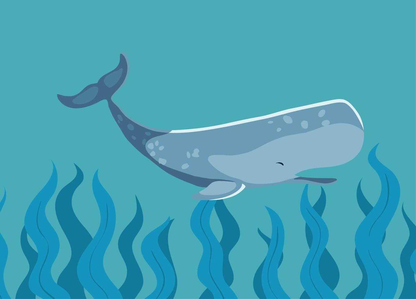 sperm whale ocean vector