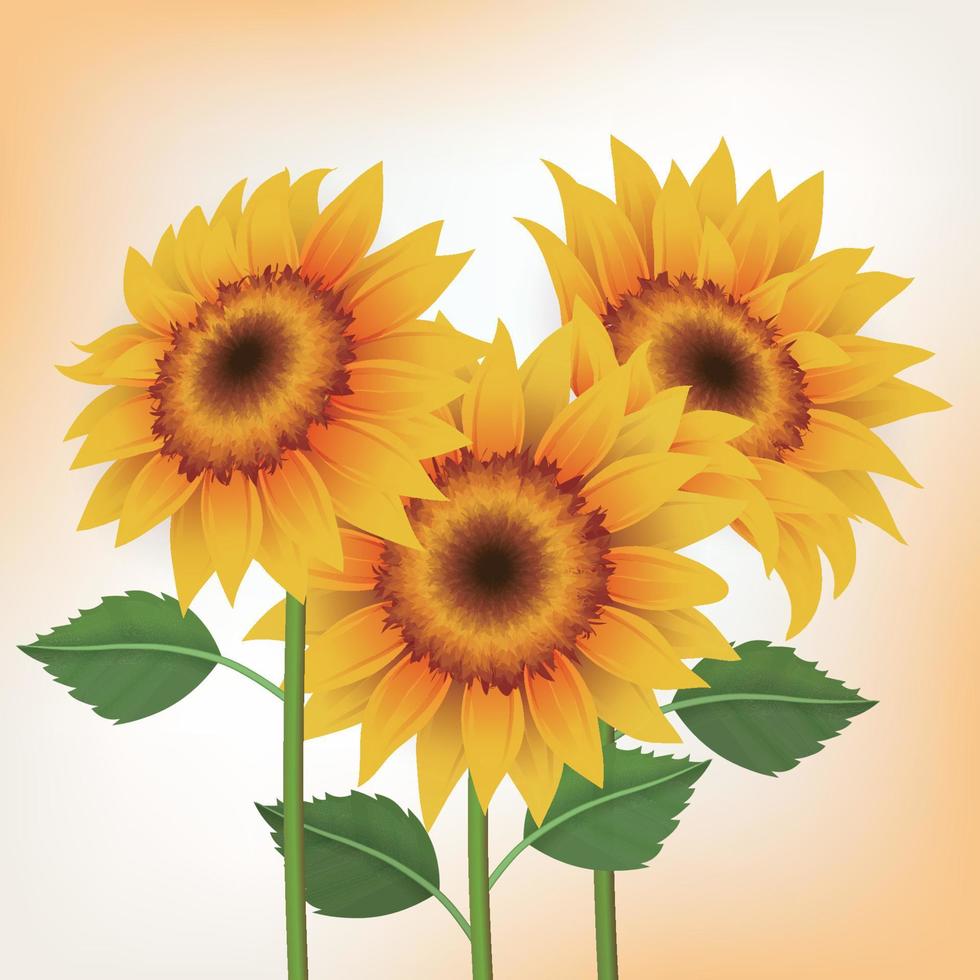 Three types of vector of yellow sunflowers