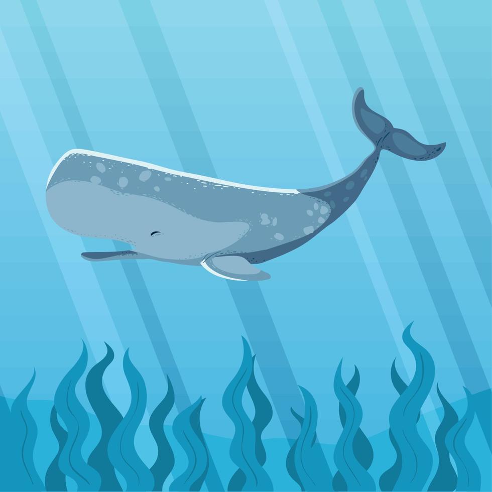 sperm whale in the surface sea vector