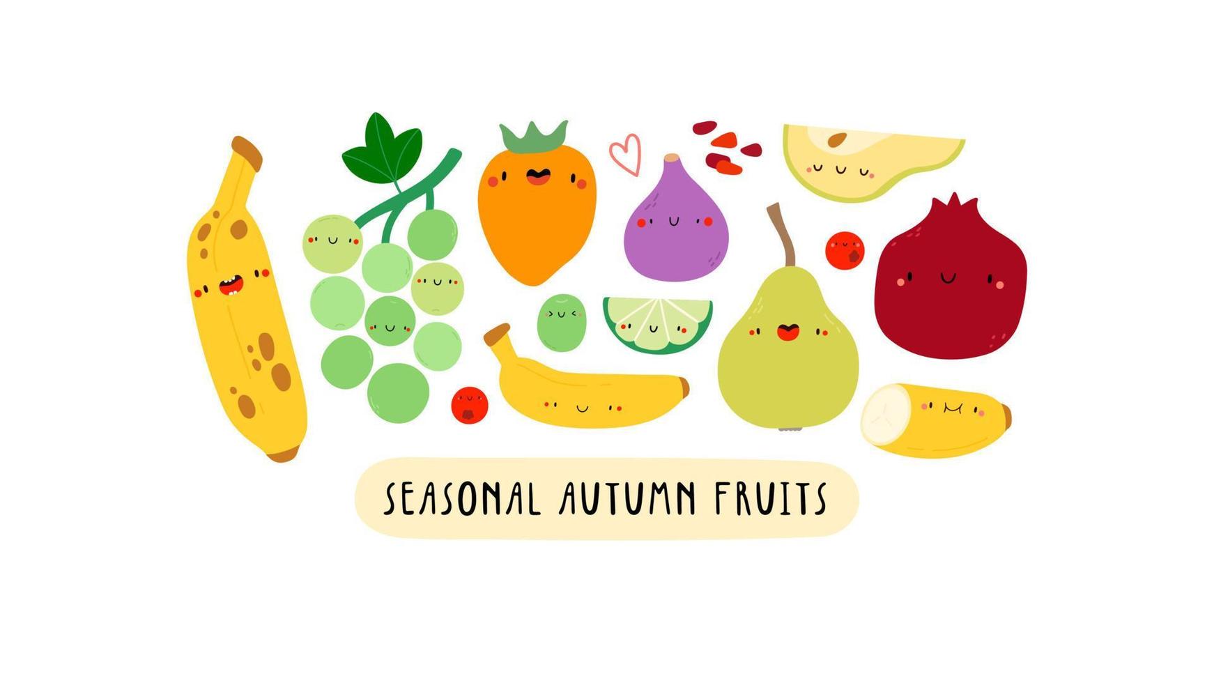 Cute illustration with Seasonal Autumn Fruits on a white background. Cartoon food characters - Banana, Grapes, Lime, Kiwi, Persimmon, Fig, Quince, Cranberries. Healthy fruits banner vector