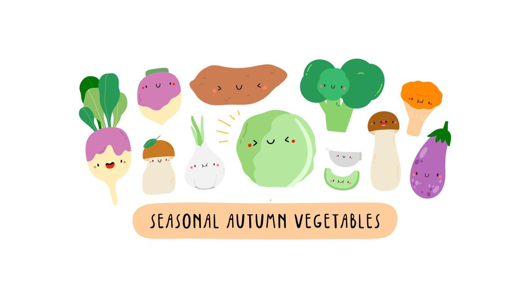 Linda ilustración con verduras de otoño de temporada sobre un fondo blanco. personajes de dibujos animados - apio, calabaza, nabo, escarola, repollo, batata, berenjena, ajo. pancarta de verduras saludables vector