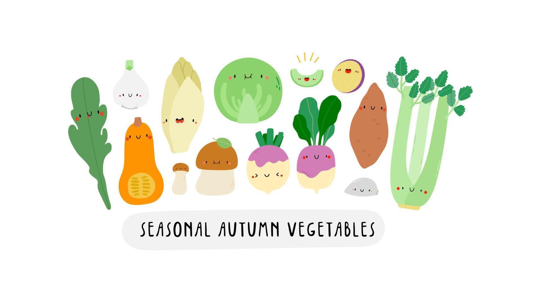 Linda ilustración con verduras de otoño de temporada sobre un fondo blanco. personajes de dibujos animados - apio, calabaza, nabo, escarola, repollo, batata, berenjena, ajo. pancarta de verduras saludables vector