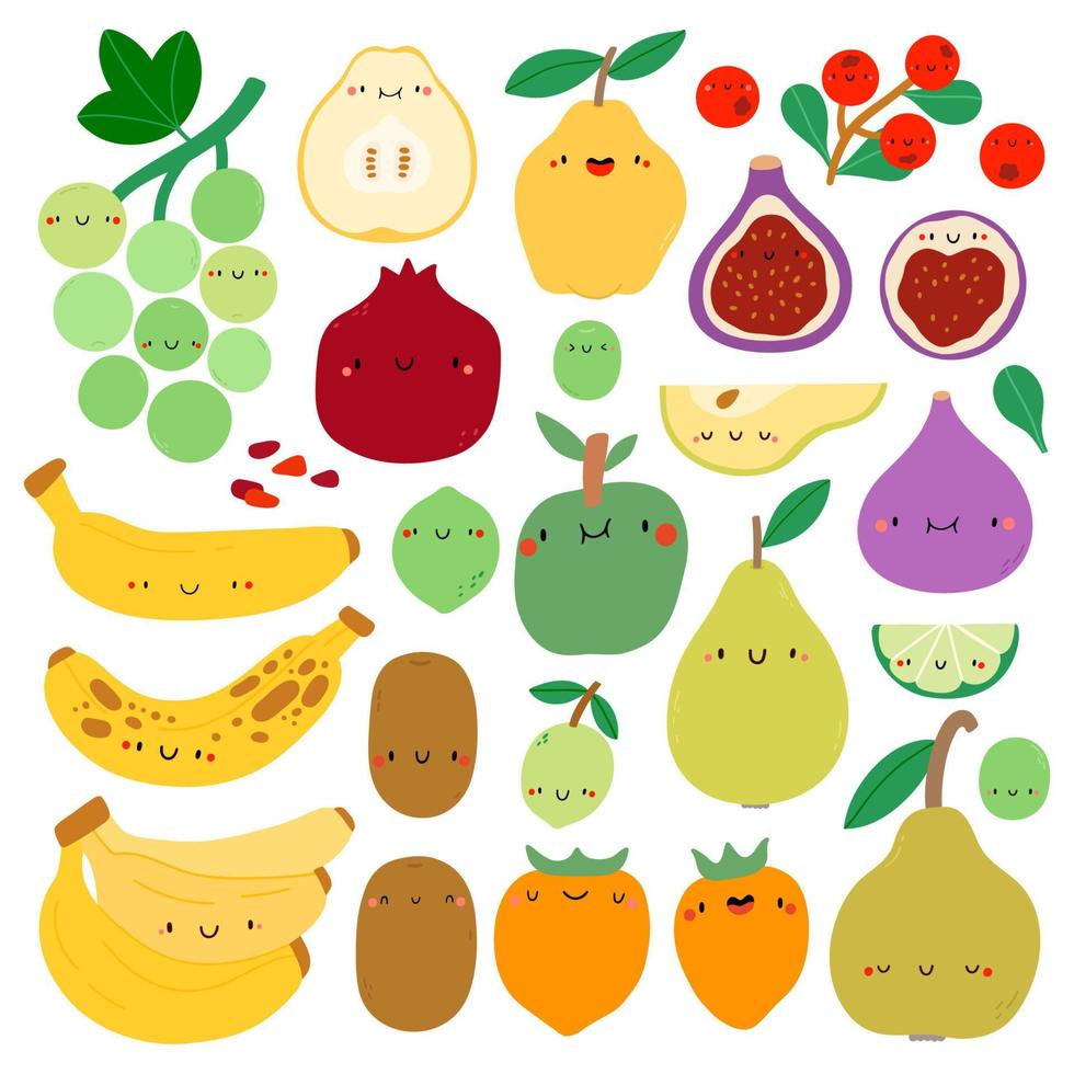 super linda colección de vectores de frutas dibujadas a mano. conjunto de frutas de temporada. personajes de frutas de otoño: uva, membrillo, plátano, kiwi, pera, higo, manzana, caqui, granada, arándanos